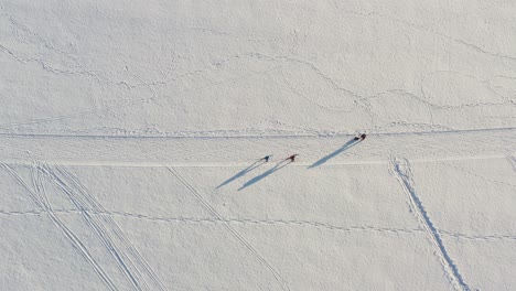 Cross-country-skiing-of-a-couple-straight-from-above-in-the-winter