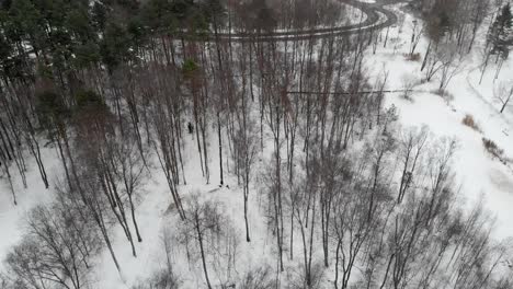 Barren-Trees-In-Winter-Landscape,-Forest-Next-To-Road,-Orbit-Circling-Aerial