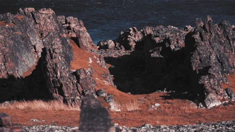 An-alien,-outlandish-landscape-of-the-Varanger-coast
