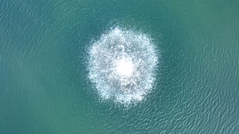 Top-down-aerial-slow-motion-of-water-fountain-with-teal-blue-green-water-lake-pond-feature