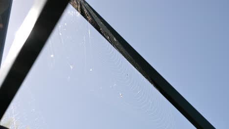 Slow-pan-around-green-clothes-washing-line-to-reveal-beautiful-full-circular-spider-cob-web-blowing-in-breeze-wind-on-summer-day-with-sun-shining-through-background