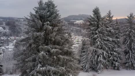 Kran-Schoss-Von-Schneebedeckten-Bäumen-Hinauf,-Um-Eine-Weiße-Stadt-Zu-Enthüllen