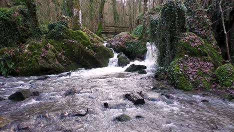 bird-fly-over-a-waterfall-in-Normandie