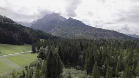 Video-Mit-Drohne-Eines-Diagonalen-Kranichflugzeugs-Im-Zelenci-naturschutzgebiet-Mit-Der-Caerretera-Und-Den-Dolomiten-Im-Hintergrund