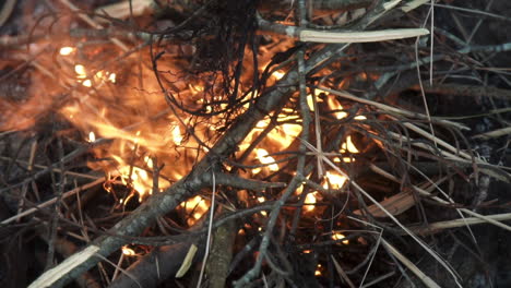 Holz-Beginnt-Sich-An-Einem-Gemütlichen-Lagerfeuer-In-Der-Wildnis-Zu-Entzünden