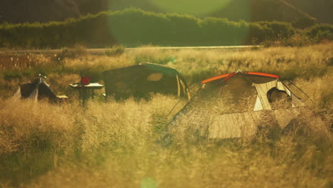 View-of-two-sunlit-tents-waving-in-the-evening-breeze-in-the-middle-of-dry-tall-grasses-in-Pleasant-Valley,California,USA