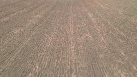 Flying-over-a-plowed-field-with-little-vegetation