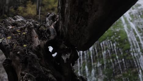 Mobile-Aufnahme-Des-Wasserfalls-Im-Tiefen-Waldgestellfokus