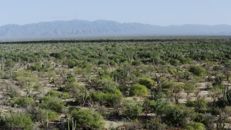 Flat-desert-landscape-with-mountains-in-the-background