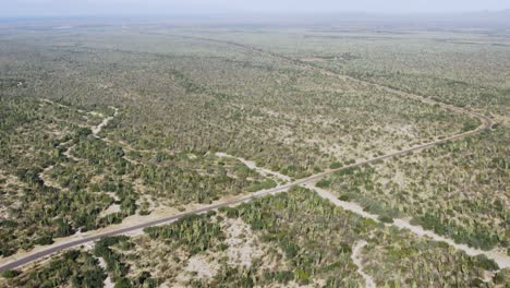 Vogelperspektive-Luftaufnahme-Einer-Mexikanischen-Wüste-Mit-Kakteen-Und-Sand