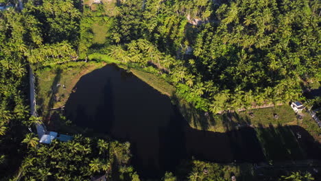 Aerial-reveal-of-rural-tropical-village-in-palm-tree-jungle,-Vietnam