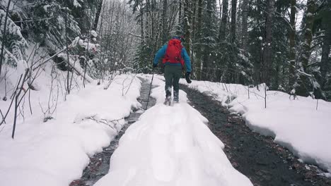 Snowshoeing-a-Flooded-Road-on-Vancouver-Island,-Canada