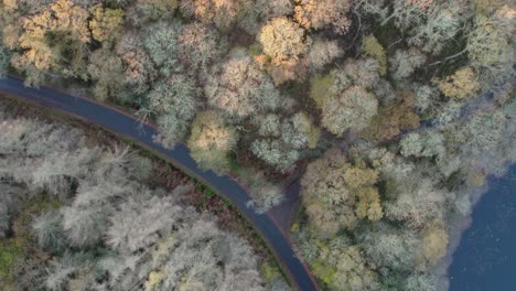Imágenes-De-Drones-Giratorios-De-Un-Bosque-De-Hoja-Ancha-En-Otoño-En-El-Parque-Nacional-Loch-Lomond-En-Escocia