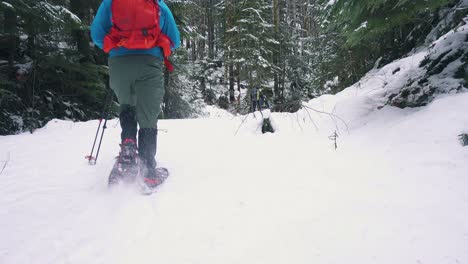 Low-angle-Snowshoeing-a-Logging-Road-on-Vancouver-Island,-Canada