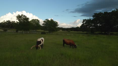 Drone-Abajo-En-Texas-Longhorns