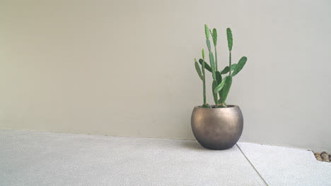 Schöne-Goldene-Vase-Mit-Kaktus-Und-Kopierraum