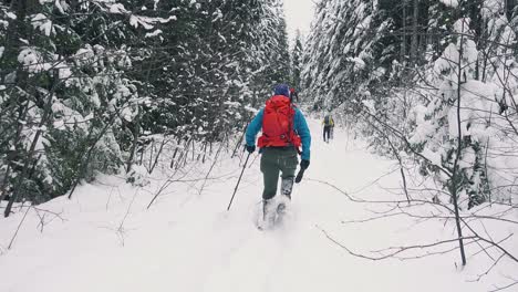 Walking-Away-Snowshoeing-a-Logging-Road-on-Vancouver-Island,-Canada