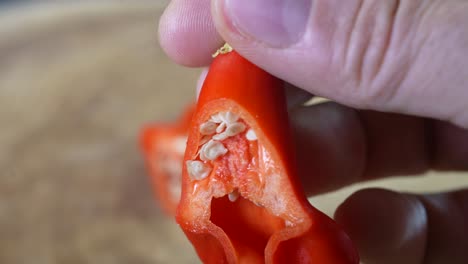 Inside-of-Mad-Hatter-Pepper,-Capsicum-Baccatum