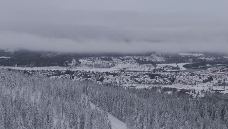 Magical-icy-winter-forest-covered-in-pure-white-snow-with-small-town-in-horizon,-aerial-drone-view
