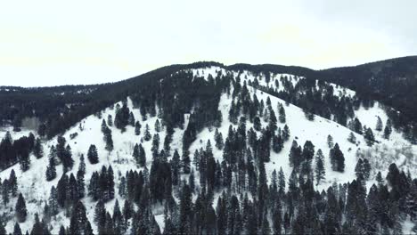 AERIAL---Snowy-mountain-slope-with-trees
