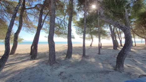 walk-on-the-beach-of-alcudia
