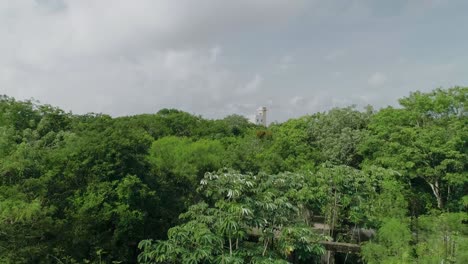 Rising-from-tropical-Tulum-jungle-with-view-of-accommodation-tower,-Milum-Lake-Club