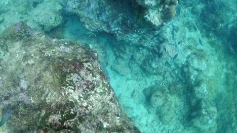 Schwimmen-In-Einer-Höhle-Auf-Den-Britischen-Jungferninseln