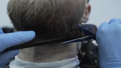 Barber-cutting-a-beard-in-Belgium