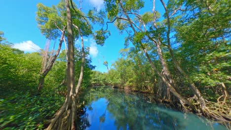 FPV-flight-shows-stunning-natural-mangrove-ecosystem