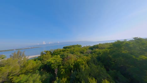 FPV-drone-over-lush-forest-on-Caribbean-coast-and-around-island,-Playa-Luci-Landia
