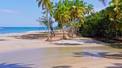 Shallow-And-Clear-Water-Of-Stream-At-The-Playa-Coson-Beach-Shore-With-Tropical-Palm-Trees-in-Las-Terrenas,-Dominican-Republic