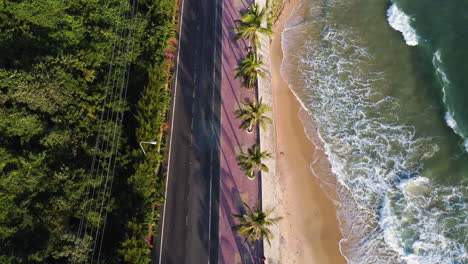 Tropical-road-near-sandy-ocean-coastline-with-palm-tree-line,-aerial-drone-view