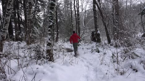 Hombre-Caminando-Con-Raquetas-De-Nieve-A-Través-De-Un-Bosque