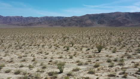 Drone-Flight-Over-Semi-arid-Desert-Landscape-In-Joshua-Tree-National-Parks-In-Southeastern-California