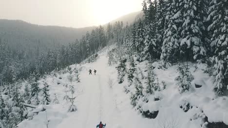 Aerial-Snowshoeing-towards-Sunset-on-Vancouver-Island,-Canada