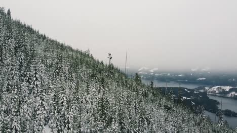 Bosque-Montañoso-Nevado-En-La-Isla-De-Vancouver,-Canadá