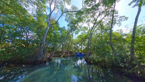 FPV-drone-flight-over-mangrove-river-at-Laguna-Gri-Gri