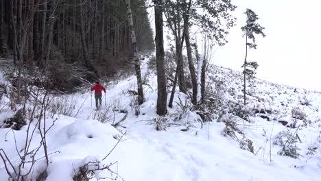 Man-Snowshoeing-up-a-Steep-Hill