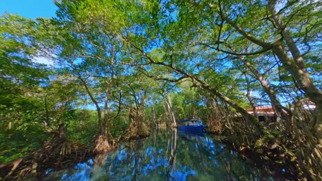 Idyllischer-Drohnenflug-über-Der-Ruhigen-Gri-Gri-Lagune-Mit-Kristallklarem-Wasser-Und-Wachsenden-Mangrovenbäumen-Am-Flussufer---Puerto-Plata,-Dominikanische-Republik-Im-Sommer