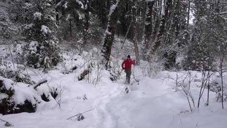 Man-Snowshoeing-into-a-Forest