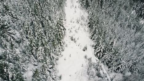 Aerial-of-a-Snowy-Logging-Road-on-Vancouver-Island,-Canada