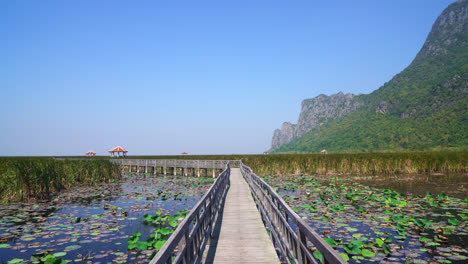 Schöner-Holzweg-Im-Sam-Roi-Yot-Süßwassersumpf-Oder-Im-Bueng-Bua-Khao-Sam-Roi-Yot-Nationalpark-In-Thailand