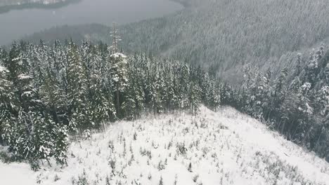 Aerial-Winter-Logging-Cut-on-Vancouver-Island,-Canada