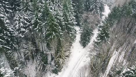 Snowy-Logging-Road-on-Vancouver-Island,-Canada