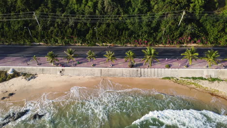 Aerial,-cars-driving-on-tropical-coast-with-palm-trees,-waves-rolling-into-shore