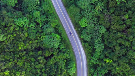 Aerial-top-down-shot-of-cars-driving-on-asphalt-Carretera-Samana-Toll-Road-surrounded-by-lush-tropical-forest-trees-in-summer