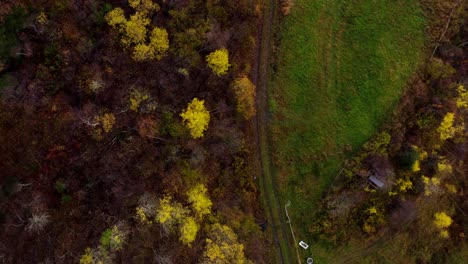 Aerial-View-Of-Colored-Forest-In-The-Mountains-During-Fall-Season-In-Mid-Norway