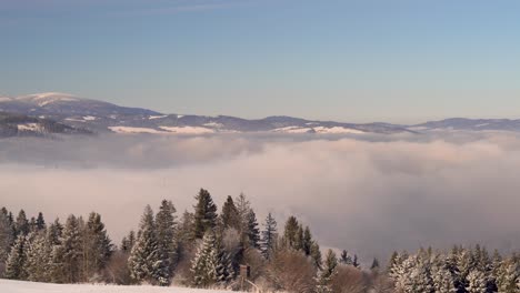 Schneller-Schwenk-über-Eine-Schöne-Wolkeninversion-Und-Eine-Winterwaldlandschaft