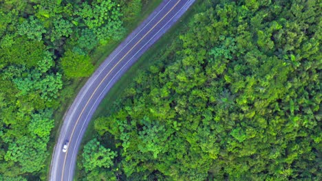 Drone-over-treetops-show-single-car-on-tarmac-road-snaking-through-lush-jungle