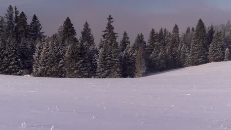 Panorámica-Lenta-De-Izquierda-A-Derecha-Sobre-Un-Hermoso-Paisaje-Invernal-Con-árboles-Y-Nieve